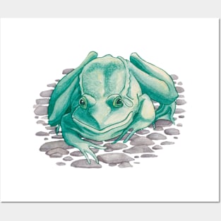 Blue Frog Posters and Art